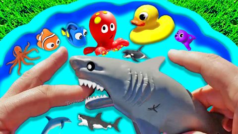 shark toys for kids